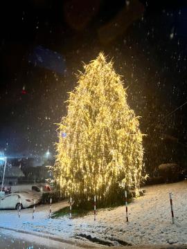 PRAZNIČNA OBČINA ŠKOFLJICA: Okrašena smreka pri občinski hiši